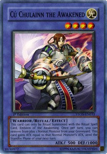 Cu Chulainn the Awakened⁣ - Strike of Neos⁣ (Common)⁣ [033]