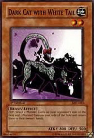 Dark Cat with White Tail⁣ - Magician's Force⁣ (Common)⁣ [083]