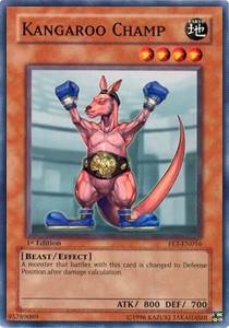 Kangaroo Champ⁣ - Flaming Eternity⁣ (Common)⁣ [016]