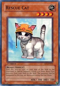 Rescue Cat⁣ - Flaming Eternity⁣ (Common)⁣ [033]