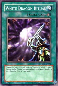 White Dragon Ritual⁣ - Starter Deck: Kaiba Evolution⁣ (Common)⁣ [025]