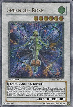 Splendid Rose (V.2 - Ultimate Rare)⁣ - The Shining Darkness⁣ (Ultimate Rare)⁣ [043]