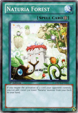 Naturia Forest⁣ - Duelist Revolution⁣ (Common)⁣ [051]