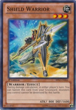 Shield Warrior (V.1 - Common)⁣ - Battle Pack 2: War of the Giants⁣ (Common)⁣ [066]