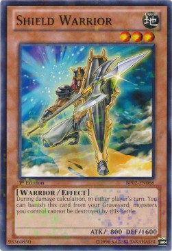 Shield Warrior (V.2 - Mosaic Rare)⁣ - Battle Pack 2: War of the Giants⁣ (Mosaic Rare)⁣ [066]