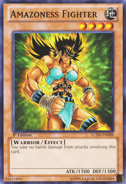 Amazoness Fighter⁣ - Legendary Collection 4: Mega Pack⁣ (Common)⁣ [088]