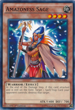 Amazoness Sage⁣ - Super Starter: Space-Time Showdown⁣ (Common)⁣ [A06]