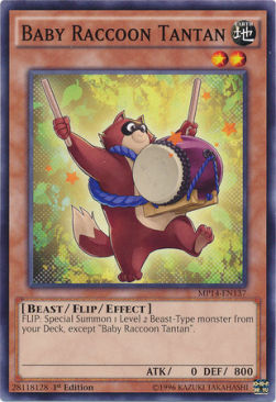 Baby Raccoon Tantan⁣ - 2014 Mega-Tins Mega-Pack⁣ (Common)⁣ [137]