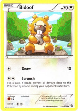 Bidoof⁣ - Primal Clash⁣ (Common)⁣ [116]