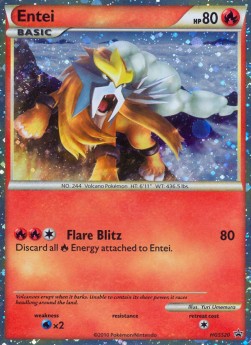 Entei⁣ - HGSS Black Star Promos⁣ (Promo)⁣ [20]