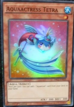 Aquaactress Tetra⁣ - Dragons of Legend 2⁣ (Super Rare)⁣ [039]