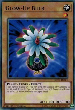 Glow-Up Bulb⁣ - Structure Deck: Cyberse Link⁣ (Common)⁣ [021]