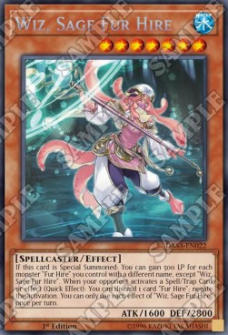 Wiz, Sage Fur Hire⁣ - Dark Saviors⁣ (Secret Rare)⁣ [022]