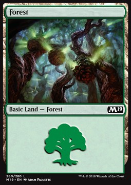 Forest (V.4) - Core 2019 (Land) [M19-280]