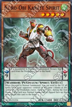 Kuro-Obi Karate Spirit⁣ - 2018 Mega-Tin Mega Pack⁣ (Common)⁣ [224]