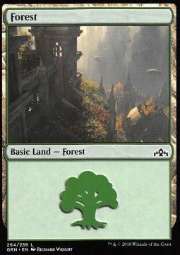 Forest - Guilds of Ravnica: Extras (Land) [XGRN-264]