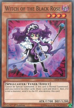 Witch of the Black Rose⁣ - Legendary Duelists: Sisters of the Rose⁣ (Common)⁣ [030]