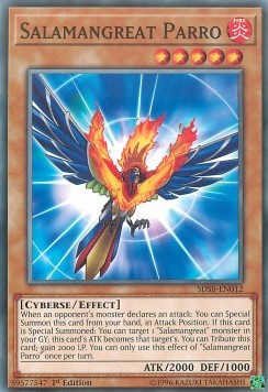 Salamangreat Parro⁣ - Structure Deck: Soulburner⁣ (Common)⁣ [012]