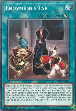 Endymion's Lab⁣ - Structure Deck: Order of the Spellcasters⁣ (Common)⁣ [023]