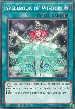 Spellbook of Wisdom⁣ - Structure Deck: Order of the Spellcasters⁣ (Common)⁣ [029]