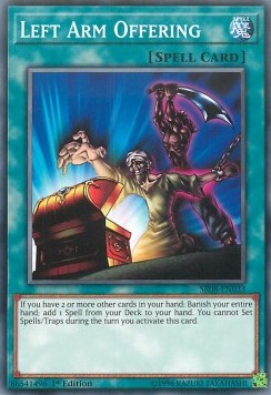 Left Arm Offering - Structure Deck: Order of the Spellcasters (Common) [SR08-033]