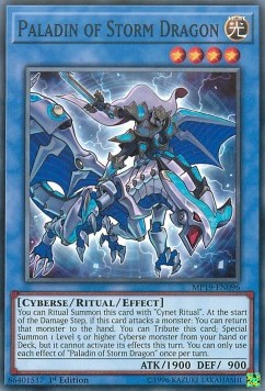 Paladin of Storm Dragon⁣ - 2019 Gold Sarcophagus Tin Mega Pack⁣ (Common)⁣ [096]