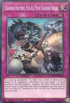 Training Fur Hire, Fur All Your Training Needs⁣ - 2019 Gold Sarcophagus Tin Mega Pack⁣ (Common)⁣ [256]