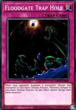 Floodgate Trap Hole - OTS Tournament Pack 13 (Common) [OP13-025]