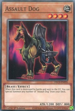 Assault Dog⁣ - Dragons of Legend: The Complete Series⁣ (Common)⁣ [035]