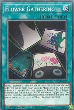 Flower Gathering - Dragons of Legend: The Complete Series (Common) [DLCS-136]