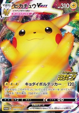 Pikachu VMAX - Sword & Shield Promos (Promo) [S-P-123]
