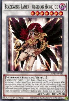 Blackwing Tamer - Obsidian Hawk Joe - Legendary Duelists: Season 2 (Common) [LDS2-042]