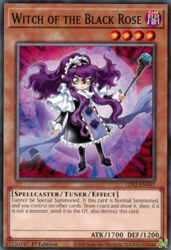 Witch of the Black Rose⁣ - Legendary Duelists: Season 2⁣ (Common)⁣ [097]