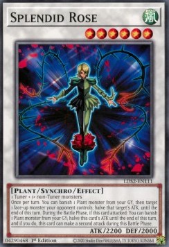 Splendid Rose⁣ - Legendary Duelists: Season 2⁣ (Common)⁣ [111]