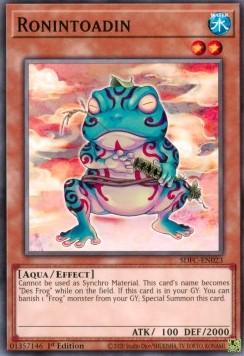 Ronintoadin⁣ - Structure Deck: Freezing Chains⁣ (Common)⁣ [023]