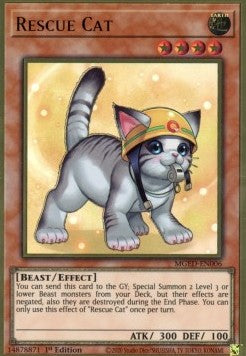 Rescue Cat (V.2 - Premium Gold Rare)⁣ - Maximum Gold: El Dorado⁣ (Premium Gold Rare)⁣ [006]