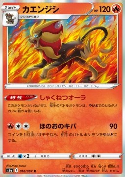 Pyroar - Battle Region (Rare) [s9a-016]