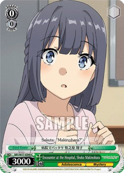 Encounter at the Hospital, Shoko Makinohara - Rascal Does Not Dream of a Dreaming Girl (Common) [SBY/W77-040]