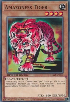 Amazoness Tiger⁣ - Speed Duel GX: Duelists of Shadows⁣ (Common)⁣ [D03]