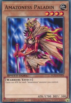Amazoness Paladin⁣ - Speed Duel GX: Duelists of Shadows⁣ (Common)⁣ [D04]