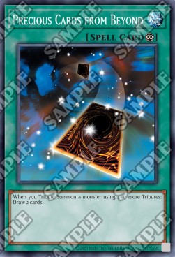 Precious Cards From Beyond⁣ - Dark Crisis (25th Anniversary Edition)⁣ (Common)⁣ [038]