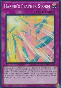 Harpie's Feather Storm (V.1 - Super Rare)⁣ - 25th Anniversary Rarity Collection⁣ (Super Rare)⁣ [073]