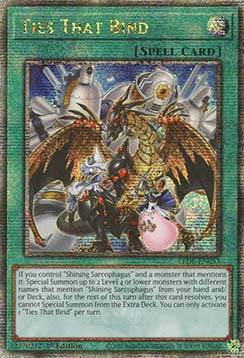 Ties That Bind (V.2 - Quarter Century Secret Rare)⁣ - Legacy of Destruction⁣ (Quarter Century Secret Rare)⁣ [053]