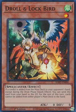 Droll & Lock Bird (V.1 - Super Rare) - 25th Anniversary Rarity Collection II (Super Rare) [RA02-006]