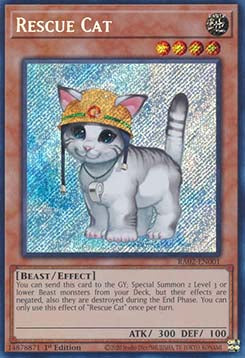 Rescue Cat (V.5 - Secret Rare) - 25th Anniversary Rarity Collection II (Secret Rare) [RA02-001]