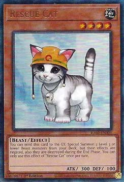 Rescue Cat (V.13 - Ultimate Rare)⁣ - 25th Anniversary Rarity Collection II⁣ (Ultimate Rare)⁣ [001]