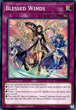 Blessed Winds⁣ - OTS Tournament Pack 25⁣ (Common)⁣ [026]