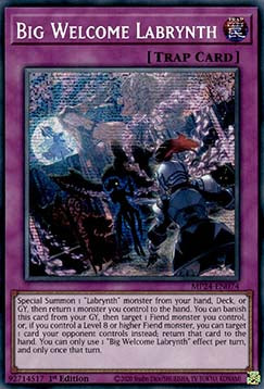 Big Welcome Labrynth⁣ - 25th Anniversary Tin: Dueling Mirrors⁣ (Secret Rare)⁣ [074]
