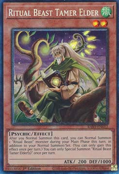 Ritual Beast Tamer Elder (V.6 - Collectors Rare)⁣ - Quarter Century Bonanza⁣ (Collectors Rare)⁣ [012]