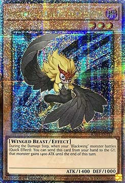Blackwing - Kalut the Moon Shadow (V.2 - Quarter Century Secret Rare)⁣ - Quarter Century Bonanza⁣ (Quarter Century Secret Rare)⁣ [217]